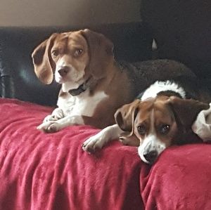 Meet your Posher, Brenda